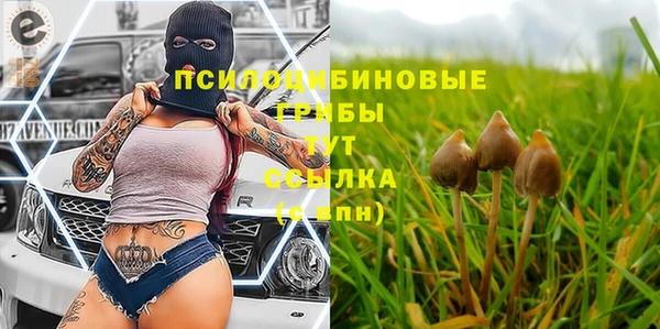 мескалин Приозерск