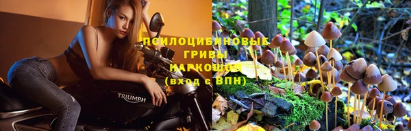 наркотики Осташков
