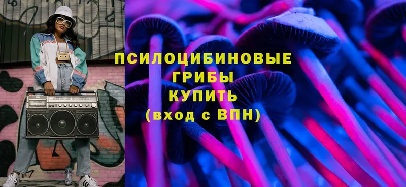 закладки  Ясногорск  Галлюциногенные грибы Magic Shrooms 