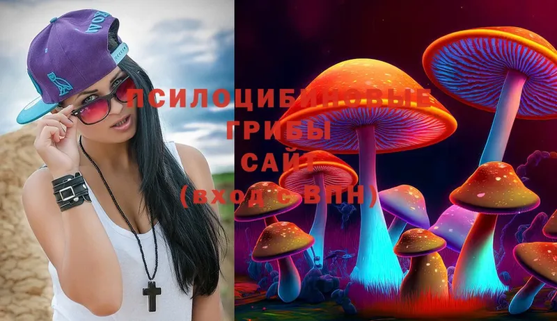 Псилоцибиновые грибы Magic Shrooms Ясногорск